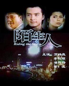陌生人(全集)